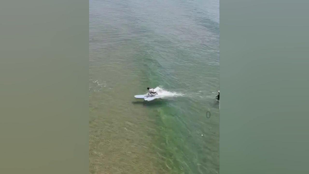 兽人必须死